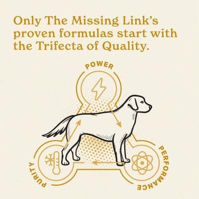 Show full view: The Missing Link Skin & Coat Powder Supplement for Dogs, 1-lb bag slide 8 of 12