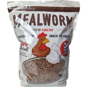 Flock Fest Whole-Dried Mealworms Chicken Treat, 30-oz bag