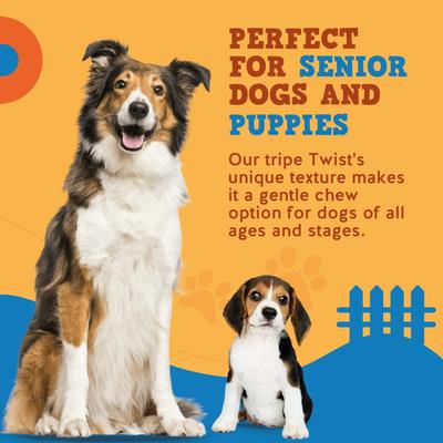 Show full view: Jack & Pup Tripe Twist 6-in Dog Chew slide 4 of 6