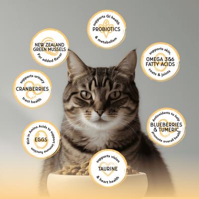 Show full view: Blackwood Bounty Grain-Free Chicken & Turkey Recipe Dry Cat Food, 2-lb bag slide 6 of 8