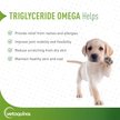Show in main carousel: Vetoquinol Triglyceride OMEGA Omega-3 Fatty Acids Large & Giant Breed Supplement for Dogs, 60 count slide 2 of 10