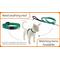 Show in main carousel: LupinePet Nylon Breakaway Cat Collar, One Size: 8-12-in neck, 1/2-in wide, Petunias slide 4 of 7