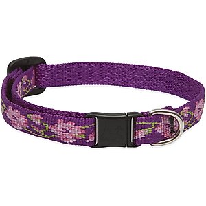 LupinePet Nylon Breakaway Cat Collar, One Size: 8-12-in neck, 1/2-in wide, Rose Garden