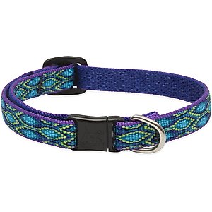 LupinePet Nylon Breakaway Cat Collar, One Size: 8-12-in neck, 1/2-in wide, Rain Song