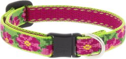 LupinePet Nylon Breakaway Cat Collar, One Size: 8-12-in neck, 1/2-in wide, Petunias