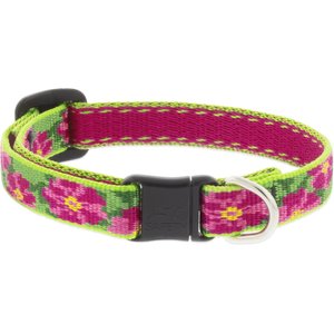 LupinePet Nylon Breakaway Cat Collar, One Size: 8-12-in neck, 1/2-in wide, Petunias