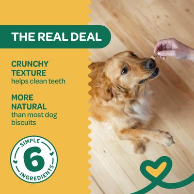 Show full view: Wholesome Pride Pet Treats Nature's Biscuits Pumpkin Mini Dog Crunchy Treats, 16-oz bag slide 3 of 10