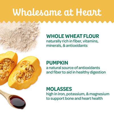 Show full view: Wholesome Pride Pet Treats Nature's Biscuits Pumpkin Mini Dog Crunchy Treats, 16-oz bag slide 4 of 10