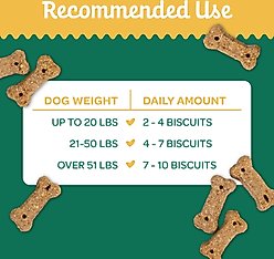 Wholesome Pride Pet Treats Nature's Biscuits Pumpkin Mini Dog Crunchy Treats, 16-oz bag slide 2 of 8