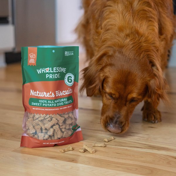 Wholesome Pride Pet Treats Nature's Biscuits Sweet Potato Mini Dog Crunchy Treats, 16-oz bag