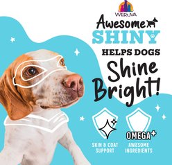Weruva Awesome Shiny Chicken Breast & Brown Rice Canned Dog Food, 14-oz, pack of 10 slide 2 of 9