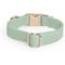Show in main carousel: Sunny Tails Cloud Waterproof Dog Collar, Pistachio Green, Medium: 12 to 18-in neck, 3/4-in wide slide 4 of 5