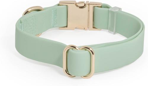 Show full view: Sunny Tails Cloud Waterproof Dog Collar, Pistachio Green, Medium: 12 to 18-in neck, 3/4-in wide slide 4 of 5