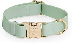 Sunny Tails Cloud Waterproof Dog Collar, Pistachio Green, Medium: 12 to 18-in neck, 3/4-in wide
