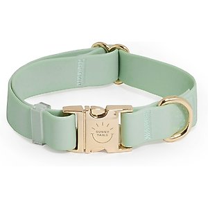 Sunny Tails Cloud Waterproof Dog Collar, Pistachio Green, Medium: 12 to 18-in neck, 3/4-in wide