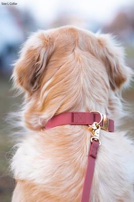 Show full view: Sunny Tails Cloud Waterproof Dog Collar, Mulberry Burgundy, Medium: 12 to 18-in neck, 3/4-in wide slide 4 of 8