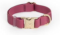 Sunny Tails Cloud Waterproof Dog Collar, Mulberry Burgundy, Medium: 12 to 18-in neck, 3/4-in wide