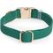 Show in main carousel: Sunny Tails Cloud Waterproof Dog Collar, Meadow Green, Large: 16 to 24-in neck, 1-in wide slide 5 of 6