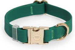 Sunny Tails Cloud Waterproof Dog Collar, Meadow Green, Large: 16 to 24-in neck, 1-in wide