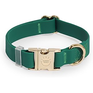 Sunny Tails Cloud Waterproof Dog Collar, Meadow Green, Small: 8 to 12-in neck, 5/8-in wide