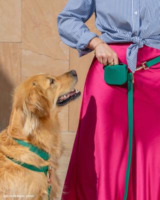 Show full view: Sunny Tails Cloud Waterproof Dog Collar, Meadow Green, Large: 16 to 24-in neck, 1-in wide slide 2 of 6