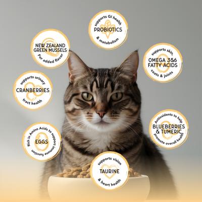 Show full view: Blackwood Bounty Grain-Free Chicken & Turkey Recipe Dry Cat Food, 4.5-lb bag slide 6 of 8