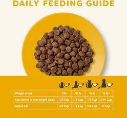 Applaws Chicken Broth with Chicken Breast Bone Broth Wet Food, 3-oz pouch, 12 count + Adult Complete Chicken Recipe with Country Vegetables Grain-Free Dry Cat Food, 4-lb bag slide 2 of 9