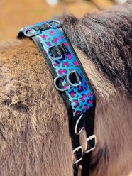 Star Point Horsemanship Miniature Horse-Pony Groundwork Training Surcingle & Reins Set, Rainbow Cheetah slide 2 of 4
