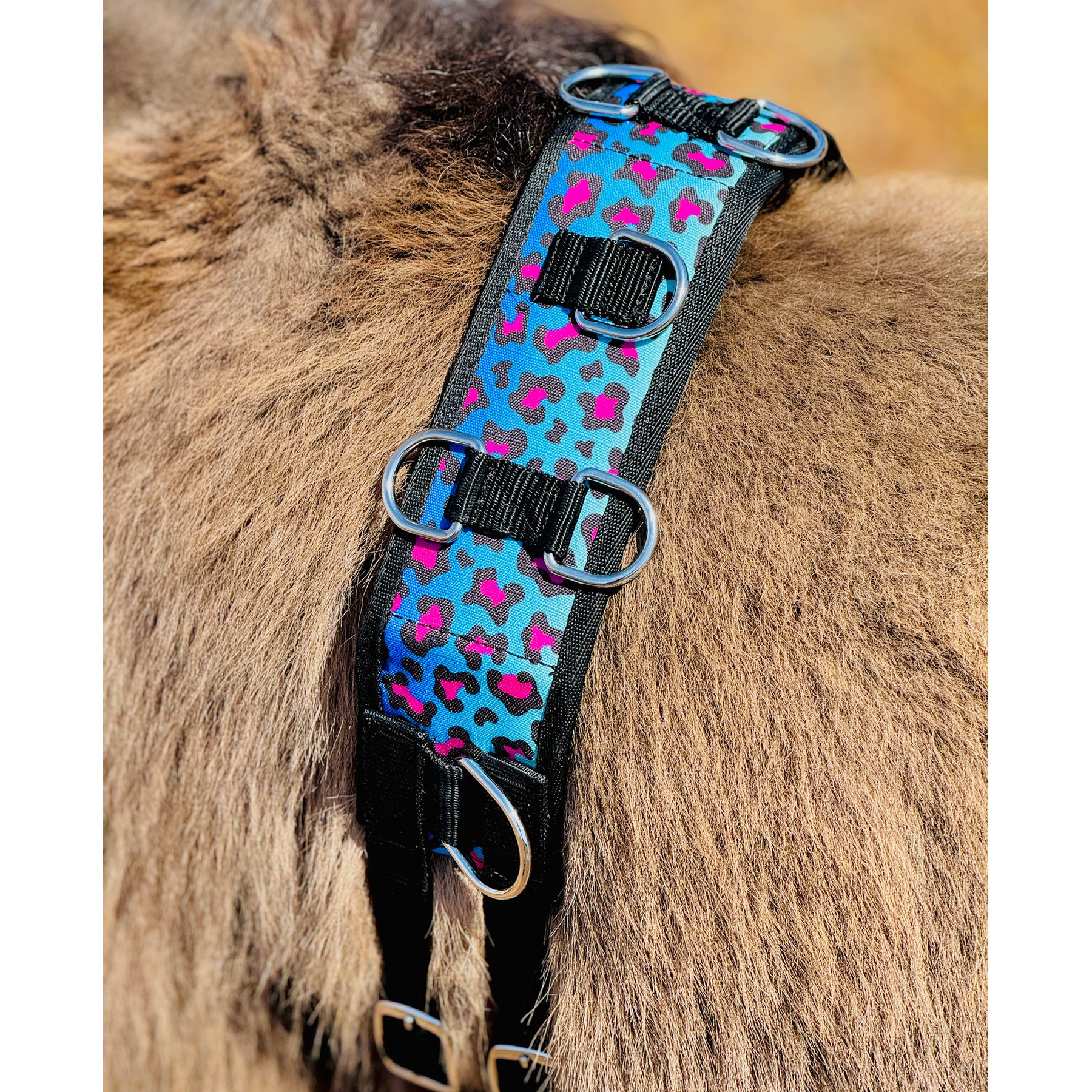 Star Point Horsemanship Miniature Horse-Pony Groundwork Training Surcingle & Reins Set, Rainbow Cheetah