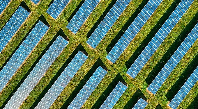 Rocket & Rex Waterproof Cat & Dog Blanket