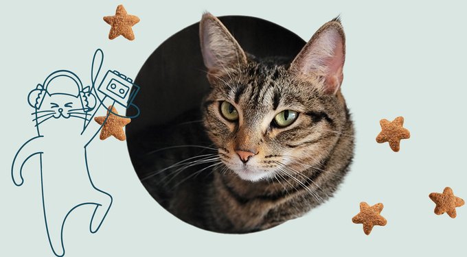 Rocket & Rex Waterproof Cat & Dog Blanket