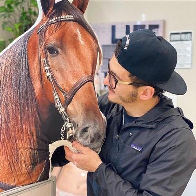 Show full view: All About Vibe 3D Personalized Horse Shaped Pillow, 16-in slide 5 of 8