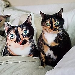 All About Vibe 3D Personalized Cat Shaped Pillow, 16-in slide 2 of 6