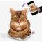 Show in main carousel: All About Vibe 3D Personalized Cat Shaped Pillow, 16-in slide 1 of 8