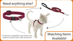 LupinePet Polyester Eco Breakaway Buckle Safety Cat Collar with Bell, One Size: 8-12 in neck, 1/2-in wide, Berry slide 2 of 5