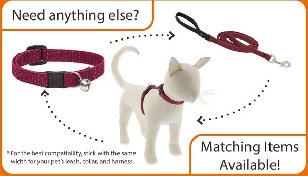 LupinePet Polyester Eco Breakaway Buckle Safety Cat Collar, One Size: 8-12 in neck, 1/2-in wide