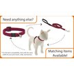 Show in main carousel: LupinePet Polyester Eco Breakaway Buckle Safety Cat Collar with Bell, One Size: 8-12 in neck, 1/2-in wide, Moss slide 3 of 5