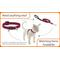 Show in main carousel: LupinePet Polyester Eco Breakaway Buckle Safety Cat Collar with Bell, One Size: 8-12 in neck, 1/2-in wide, Berry slide 4 of 6