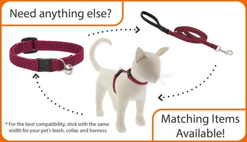 Show full view: LupinePet Polyester Eco Breakaway Buckle Safety Cat Collar with Bell, One Size: 8-12 in neck, 1/2-in wide, Berry slide 4 of 6