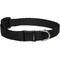 Show in main carousel: LupinePet Basic Nylon Breakaway Buckle Safety Cat Collar, One Size: 8-12 in neck, 1/2-in wide, Black slide 1 of 5