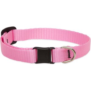 LupinePet Basic Nylon Breakaway Buckle Safety Cat Collar, One Size: 8-12 in neck, 1/2-in wide, Pink