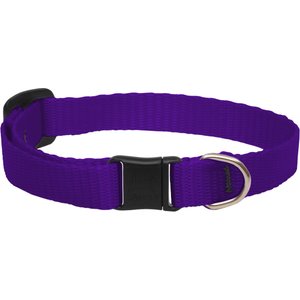 LupinePet Basic Nylon Breakaway Buckle Safety Cat Collar, One Size: 8-12 in neck, 1/2-in wide, Purple