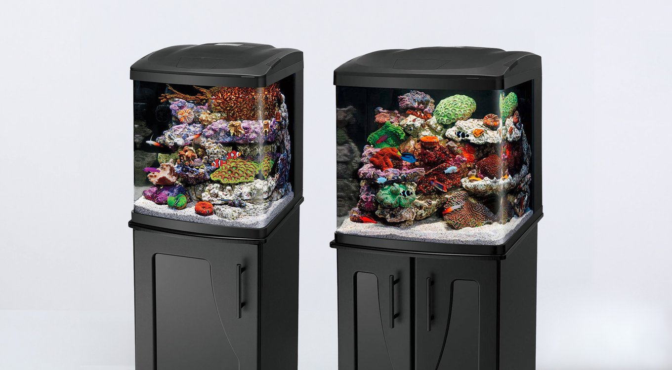 CORALIFE LED BioCube Aquarium Kit, 32-gal - Chewy.com