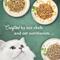 Show in main carousel: Fancy Feast Medleys White Meat Chicken Recipe Variety Collection Pack Canned Cat Food, 3-oz, case of 12 slide 6 of 13