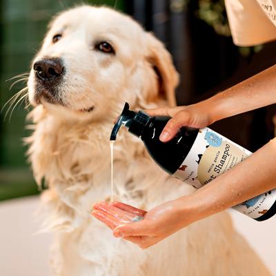 Show full view: P.T. Supply Co Precious Tails Aloe & Vitamin E Dog & Cat Shampoo, 32-fl oz bottle slide 3 of 7