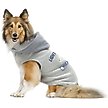 Show in main carousel: Littlearth NHL Dog & Cat Hooded Crewneck Sweater, X-Small, Tampa Bay Lightning slide 3 of 6