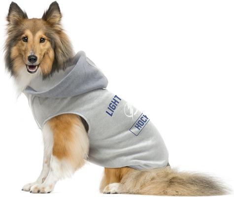 Show full view: Littlearth NHL Dog & Cat Hooded Crewneck Sweater, Small, Tampa Bay Lightning slide 3 of 6
