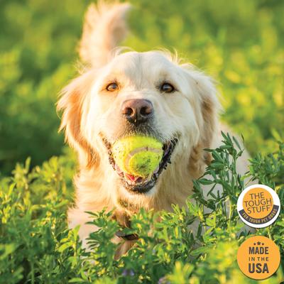 Show full view: Tough Stuff SKUNKED! Deodorizing Dog Shampoo, 16-fl oz bottle slide 6 of 6