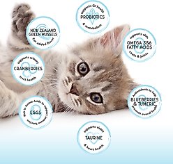Blackwood Bounty Grain-Free Chicken & Herring Recipe Dry Kitten Food, 2-lb bag slide 2 of 7