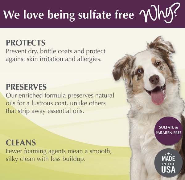 Show full view: Ultra Collection Coconut Cove 4-in-1 Dog Shampoo & Conditioner, 16-fl oz bottle slide 3 of 6